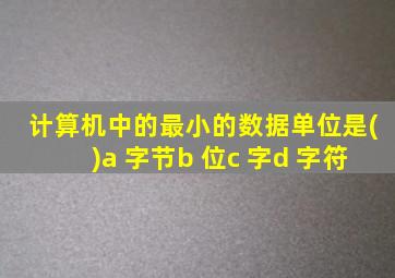 计算机中的最小的数据单位是()a 字节b 位c 字d 字符